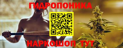 индика Нягань