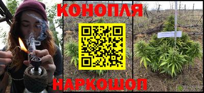 индика Нягань