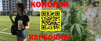 индика Нягань
